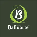 Balluarte icon