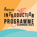 IP Summer TU Delft icon