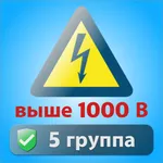 Тесты электробезопасность 5 гр icon