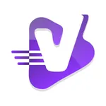 ViZeBil icon