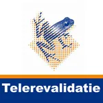 Telerevalidatie UMCG icon