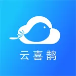 云喜鹊-短信群发小助手 icon