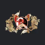 Dragon Rojo icon