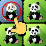 Find Different-Difference Game icon