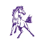 Belle Fourche School District icon