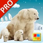 Animals Cards PRO icon