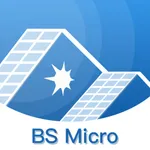 BS Micro icon