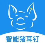 数据猪 icon