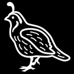 Quail Breeder icon