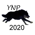 Yellowstone Wolves 2020 icon