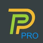 P1 monitor pro 2020 icon