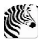 Zebra Connect icon