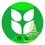 辽源西安区榆银村镇银行 icon