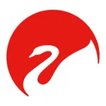 HiVi Swans icon