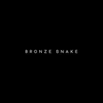 BRONZE SNAKE icon