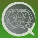 CT PassQuiz Chest / MRI icon