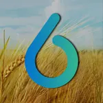 Bioendesa icon