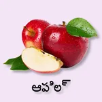 Learn Telugu Flash Cards icon