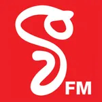 V FM icon