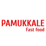 Pamukkale Fast food | Каскелен icon