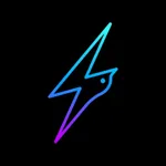 Electrifly - charging station icon