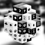 Black & White Mahjong 3D icon