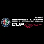 Stelvio Cup 2020 icon