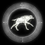 Mr. Pidcock's Ghost Menagerie icon