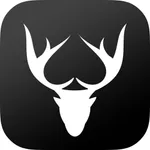 Casino Hunter - online casinos icon