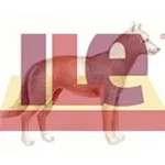 Hundeschulen ILe Europa icon