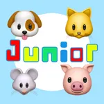 ECHO Junior icon