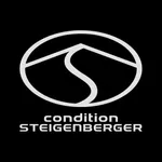 Condition Steigenberger icon