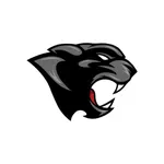 Hershey Panthers icon