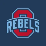 Rebels Stats icon