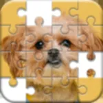 Jigsaw Puzzles Classic Games icon