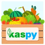 Kaspy icon