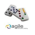 Agile Domino icon