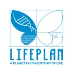 LifePlan icon