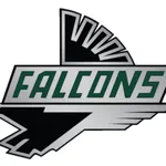 Faribault Falcons icon