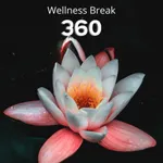 Wellness Break 360 icon