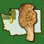 Washington NW Mushroom Forager icon