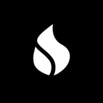 Forhit Pro icon