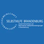 LAG SH Brandenburg icon