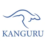 KANGURU VİDEO ÇÖZÜM icon