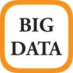 Big Data 2020 icon