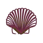 Sea Shell - Content Media icon