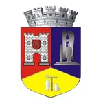 Municipiul Dej icon