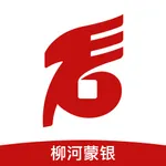 柳河蒙银村镇银行 icon