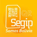 Segip CerQR icon