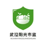 武汉阳光市监 icon